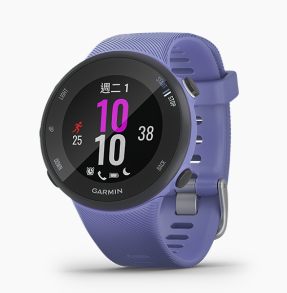 Garmin 佳明 Forerunner 45S Purple 中文版 (紫色) 010-02156-21