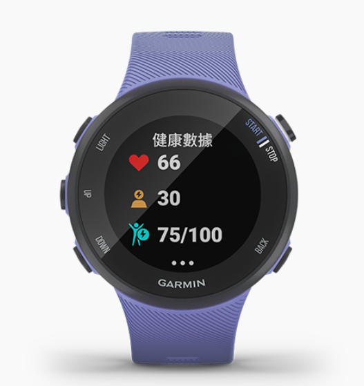 Garmin 佳明 Forerunner 45S Purple 中文版 (紫色) 010-02156-21