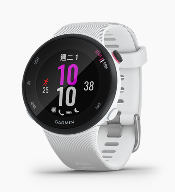 Garmin 佳明 Forerunner 45S Purple 中文版 (白色) 010-02156-20
