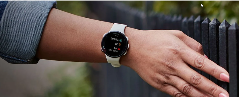 Garmin 佳明 Forerunner 45S Purple 中文版 (白色) 010-02156-20