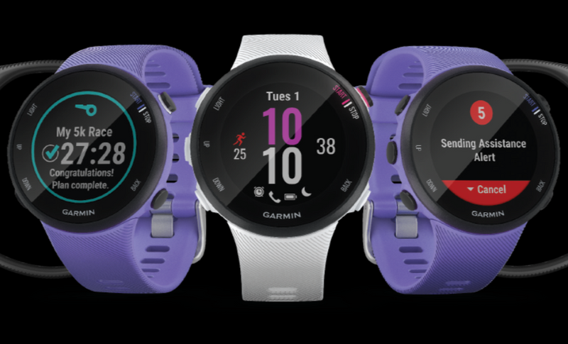 Garmin 佳明 Forerunner 45S Purple 中文版 (紫色) 010-02156-21